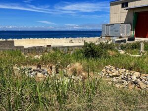 野島蟇浦墓地（淡路市）のお墓