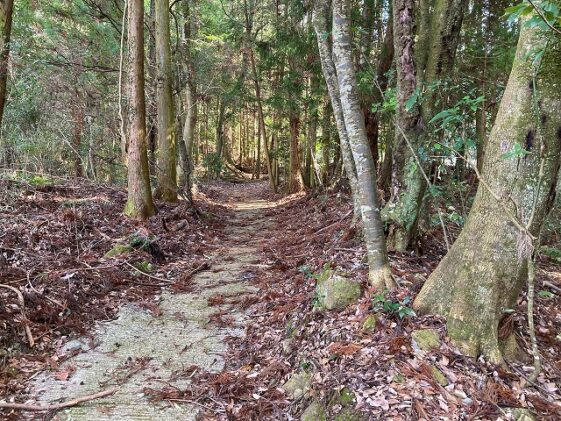 大谷墓地（三田市）のお墓