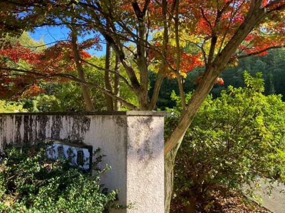 小野霊園（加古川市）のお墓