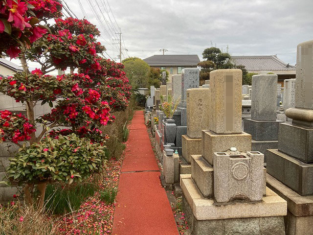 善照寺墓地（加古川市）のお墓