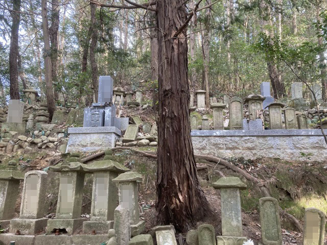 細目中墓地（三木市）のお墓