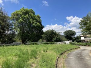 黍田霊園（小野市）のお墓